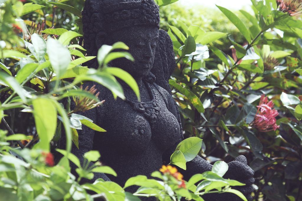 Ahilya By The Sea